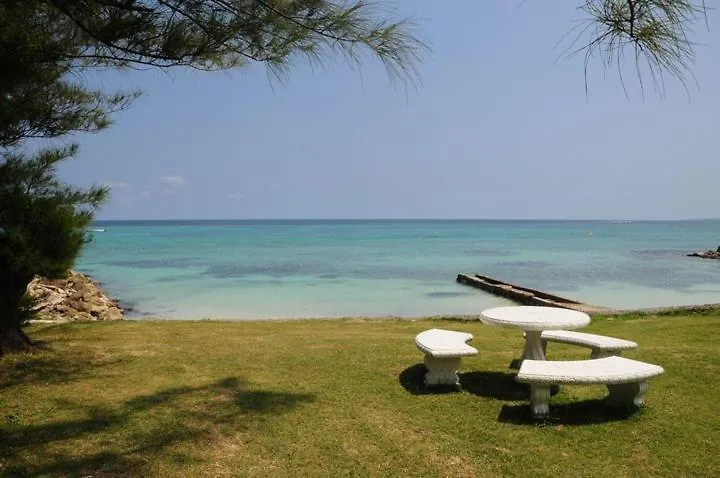 Miramar 6 Bedroom On The Beach 奥乔里奥斯 0*,  牙买加