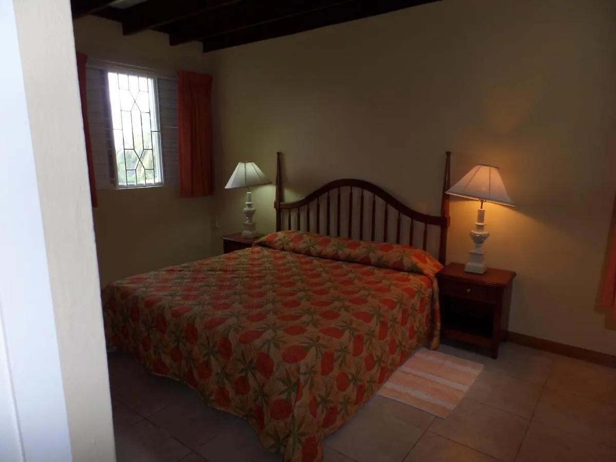 公寓 Miramar 6 Bedroom On The Beach 奥乔里奥斯